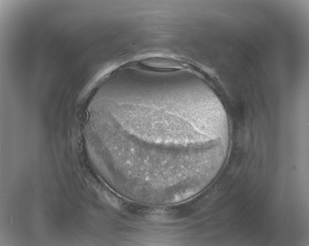 X0000079341359200612011923