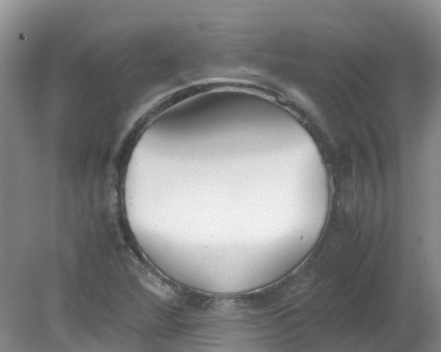 X0000079341360200612011923