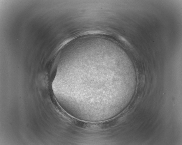 X0000079341361200612011923