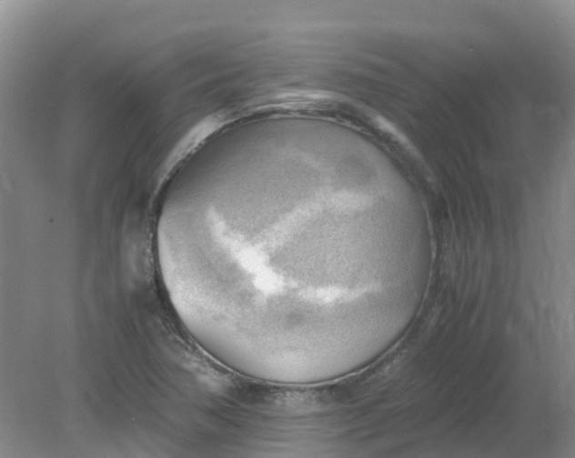 X0000079341362200612011923