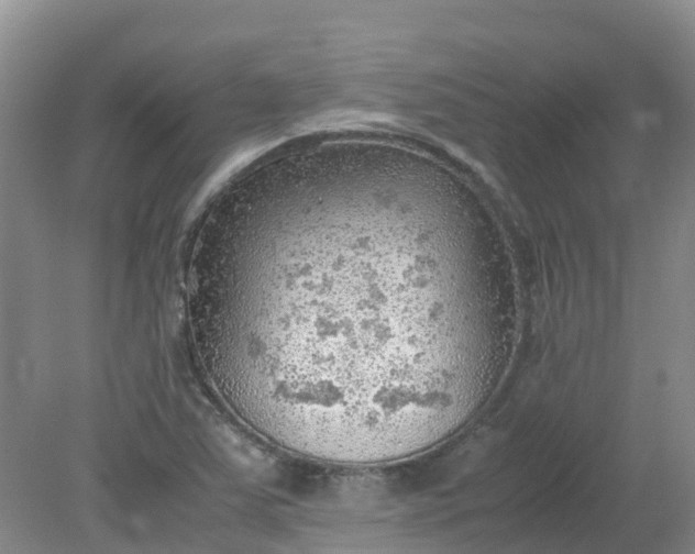 X0000079341363200612011923