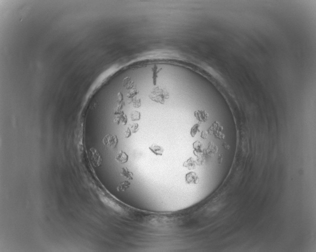 X0000079341366200612011923