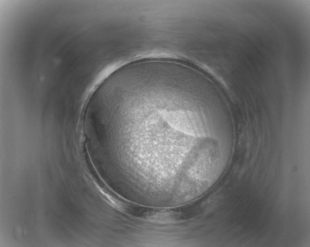 X0000079341367200612011923