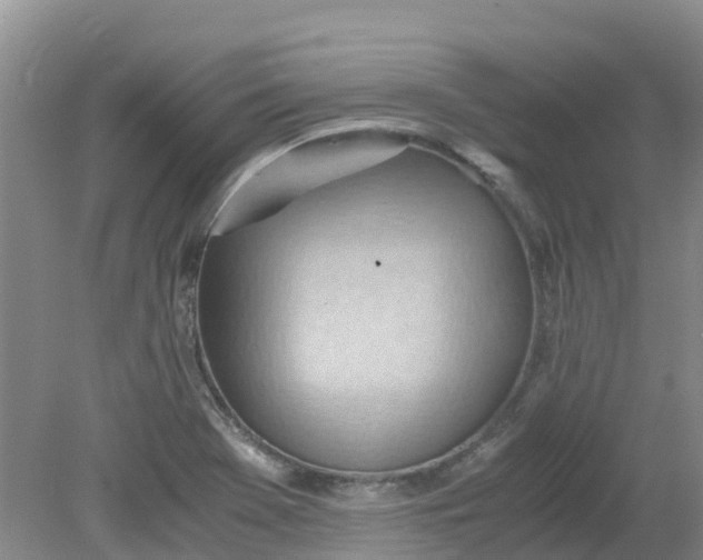 X0000079341369200612011923