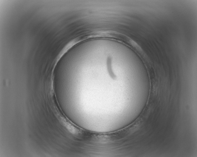 X0000079341370200612011923