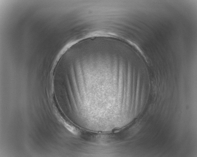 X0000079341371200612011923