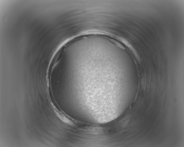 X0000079341372200612011923