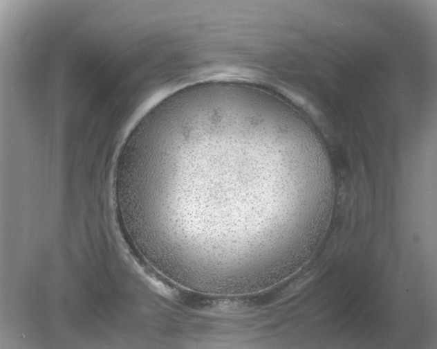 X0000079341375200612011923