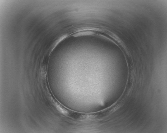 X0000079341377200612011923