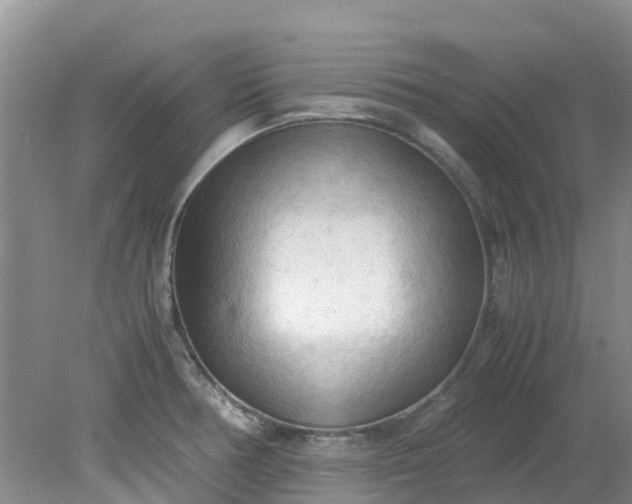 X0000079341378200612011923