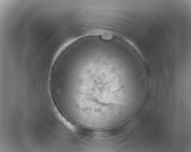 X0000079341379200612011923