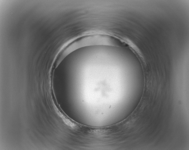 X0000079341380200612011923