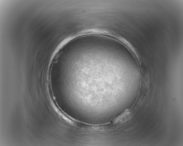 X0000079341381200612011923