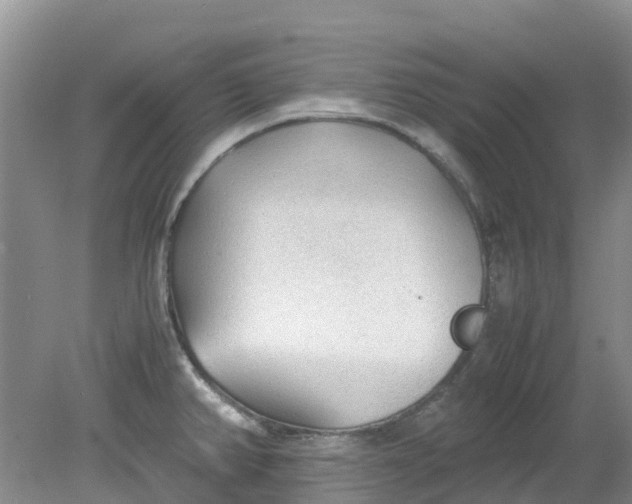 X0000079341382200612011922