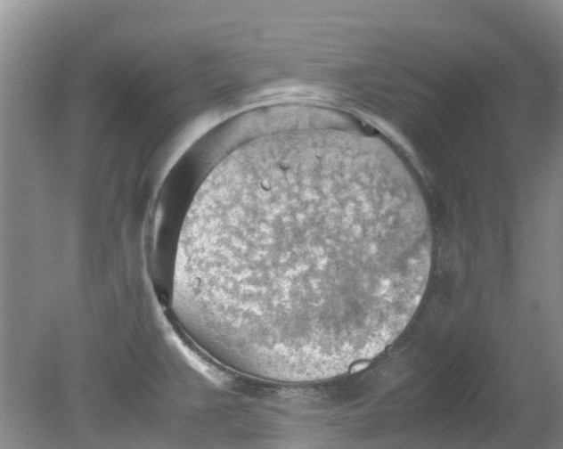 X0000079341383200612011922