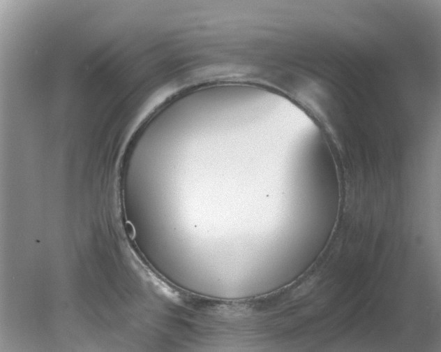 X0000079341384200612011922