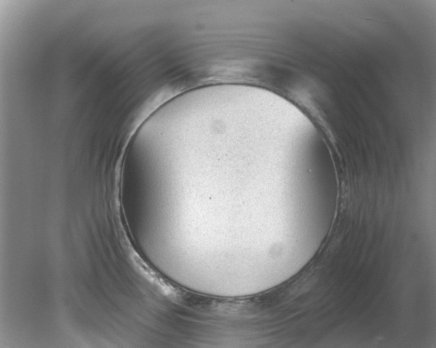 X0000079341386200612011922