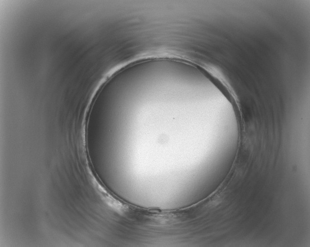 X0000079341388200612011922