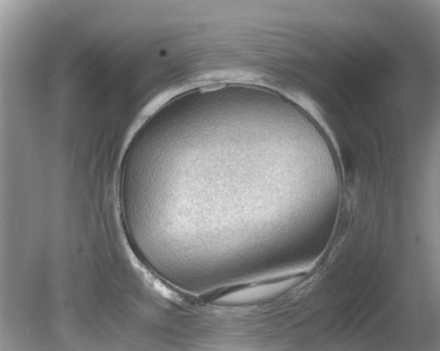 X0000079341389200612011922