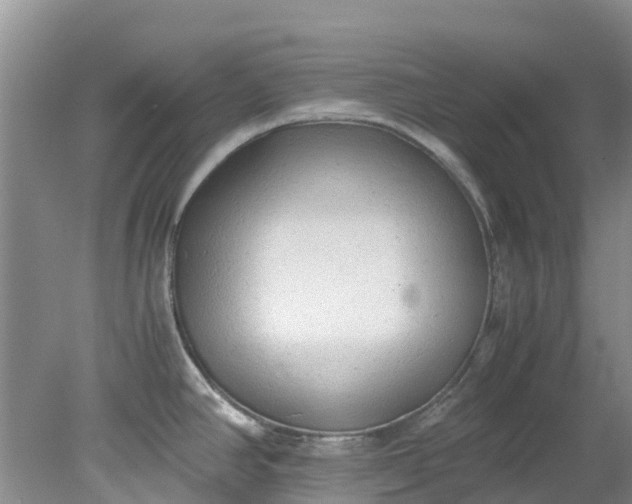 X0000079341390200612011922