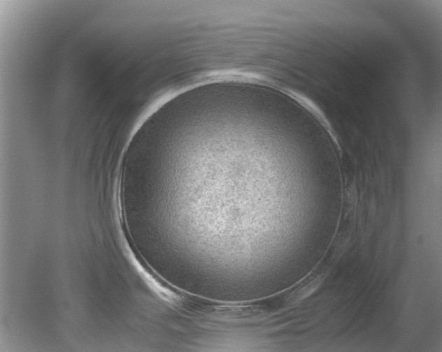 X0000079341391200612011922