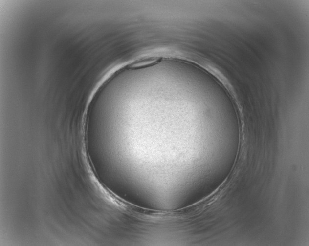 X0000079341392200612011922