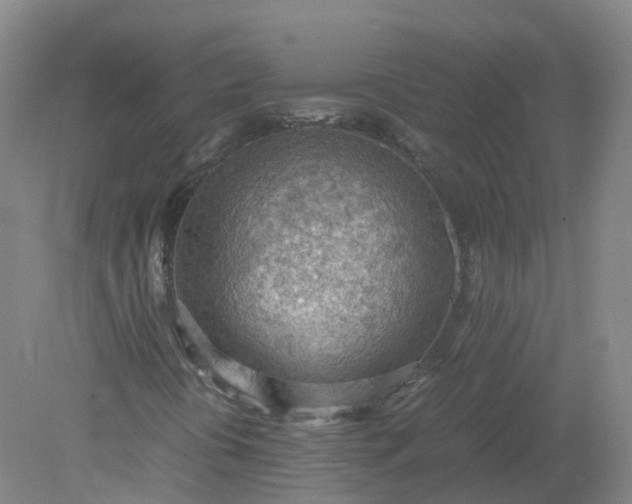 X0000079341394200612011922