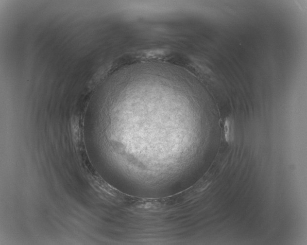 X0000079341395200612011922