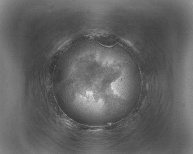 X0000079341399200612011922