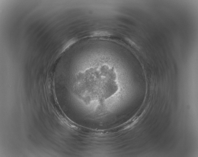 X0000079341401200612011922