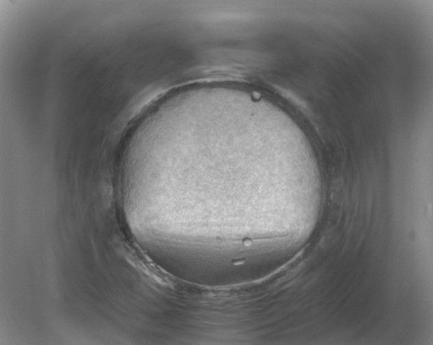 X0000079341407200612011922