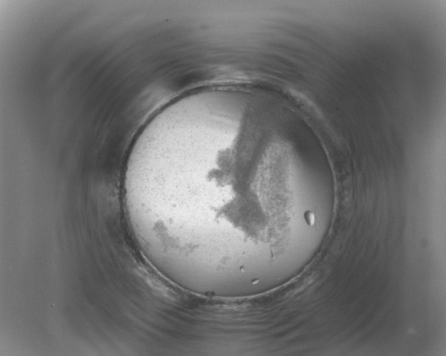 X0000079341409200612011922