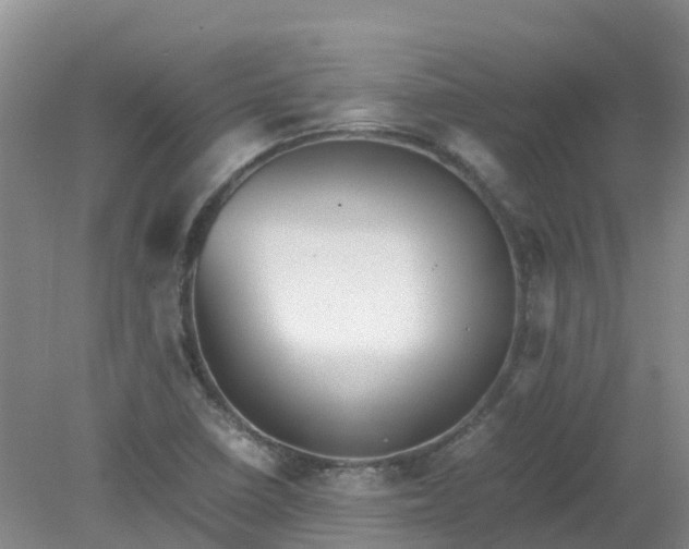 X0000079341410200612011922