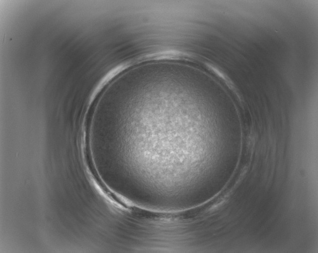 X0000079341418200612011922