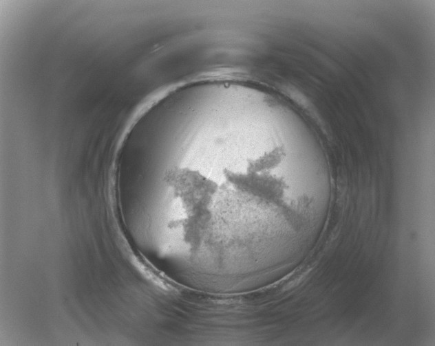 X0000079341421200612011922