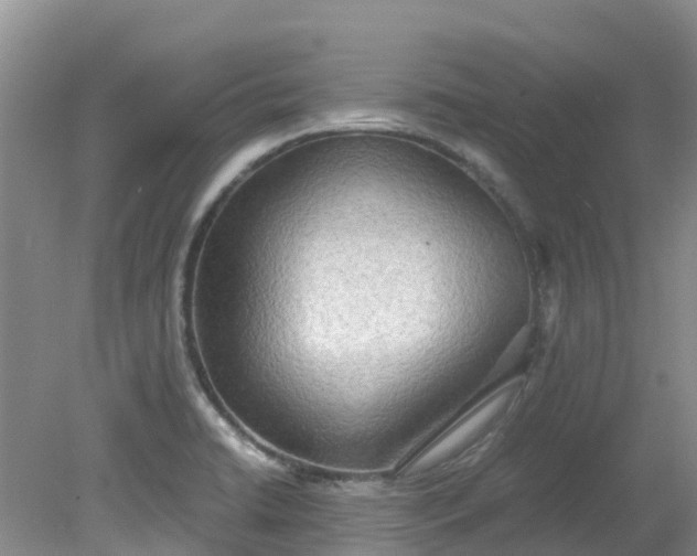 X0000079341422200612011922