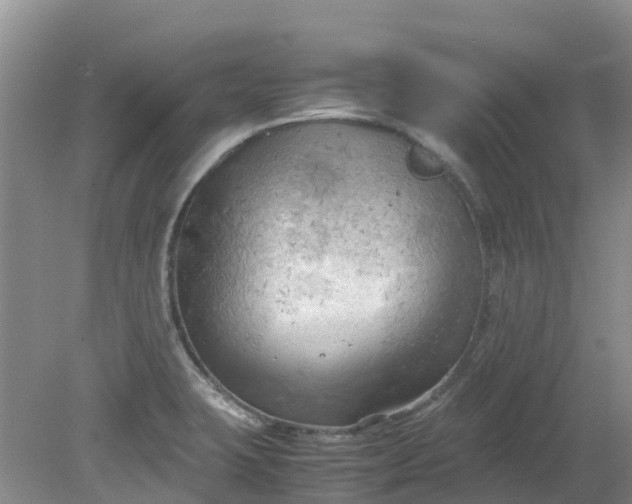 X0000079341423200612011922