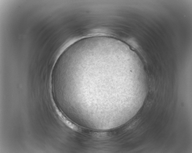 X0000079341431200612011922