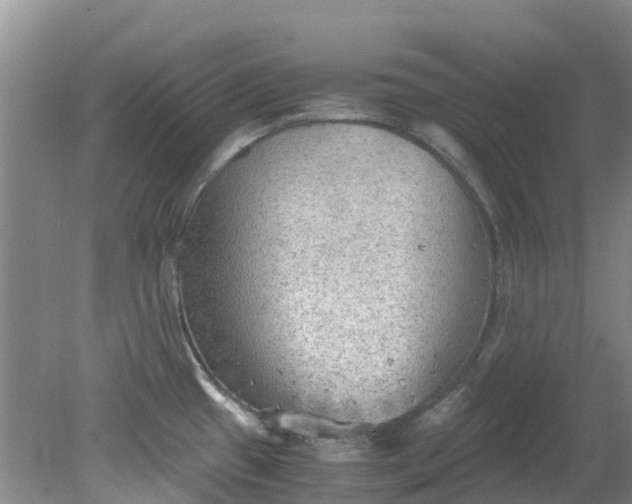 X0000079341433200612011922