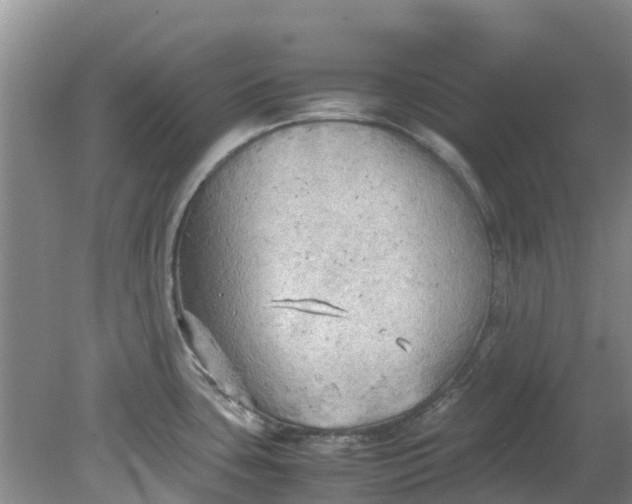 X0000079341435200612011922