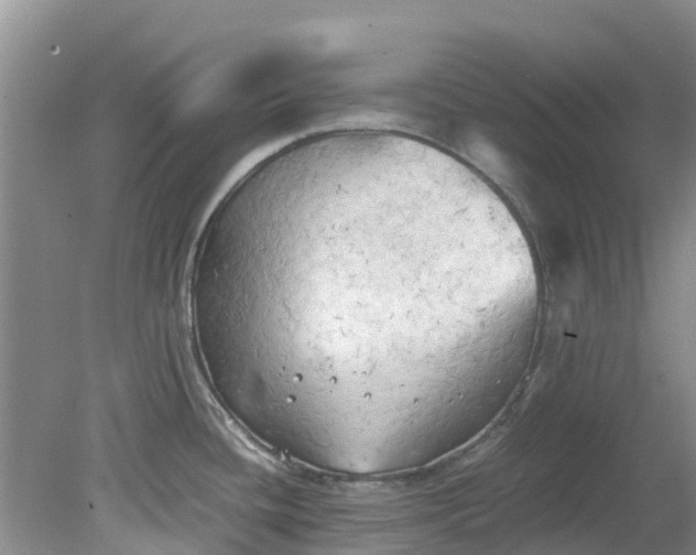 X0000079341436200612011922