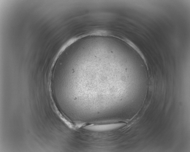 X0000079341437200612011922