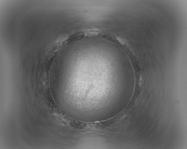X0000079341445200612011921