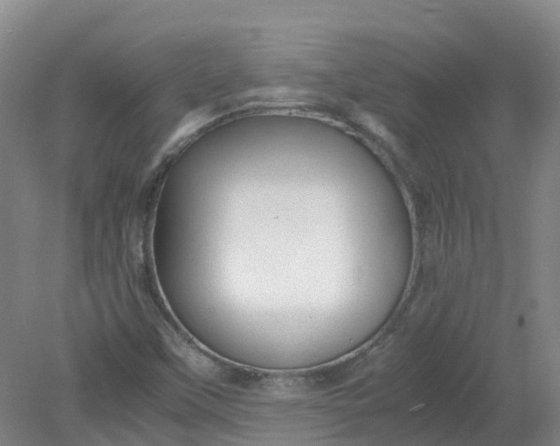 X0000079341451200612011921