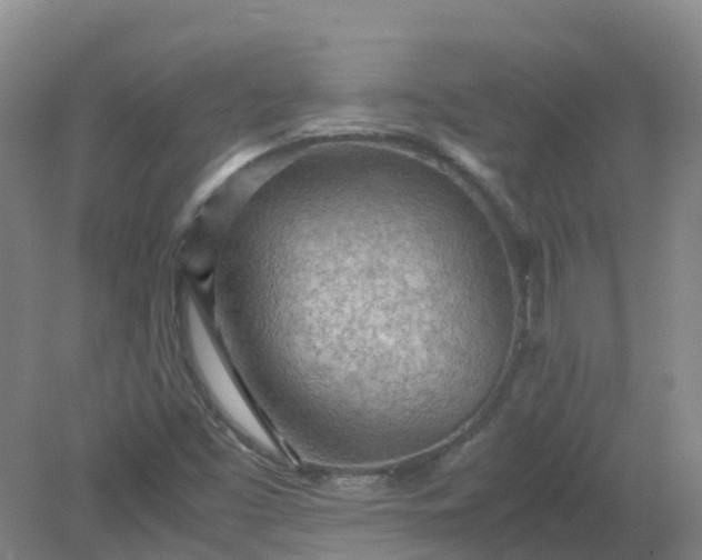X0000079341453200612011921