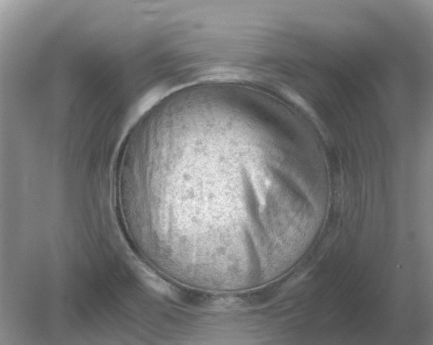 X0000079341467200612011921