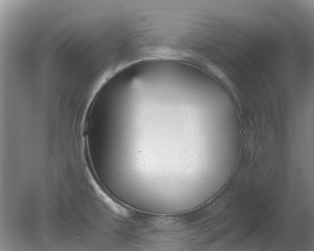 X0000079341479200612011921