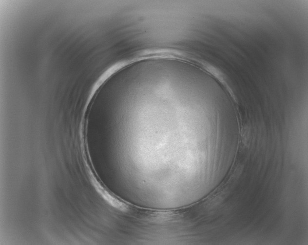 X0000079341482200612011921