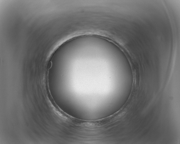 X0000079341500200612011920