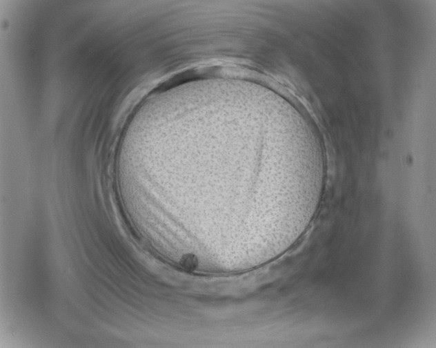 X0000079340001200612082036